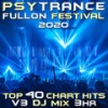 Civilysergia (Psy Trance Fullon Festival 2020 DJ Mixed) - Mind Storm&Twisted Reaction