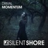 Momentum (Radio Edit) - Drival