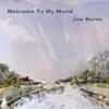 Welcome to my world - Joe Burns