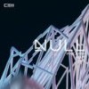 Null(Radio Edit) (其他) - 椒盐菠萝