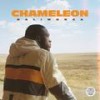 Chameleon - DaliWonga&Kabza De Small&DJ Maphorisa