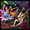 Peaceful Words - Paul Izak&Shazam