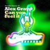 Can You Feel It - Alex Gray