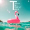 The Sweet Life(feat. T. M. Schultz)[Tropical Version] (Tropical Version) - Axero&T. M. Schultz