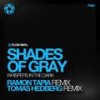 Whispers In The Dark (Ramon Tapia Remix) - Shades of Gray