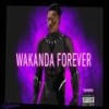 Wakanda Forever!!! (Explicit) - ThatBoyKu&Sheku Turbe