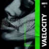 Say The Truth (Original Mix) - Vaelocity