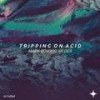 Tripping on Acid - Mark Edward Hilder