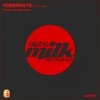 On To You (Dmitry Molosh Remix) - Hibernate