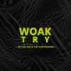 Try (Victor Lou & The Contraband Remix) - WOAK