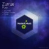 Pure (Edvard Hunger Remix) - Zurrue