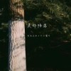 美好降落和声伴奏 (伴奏) - 王老师浙江&十三酱吖