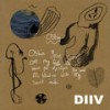 Earthboy - DIIV