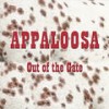 Harney County - Appaloosa