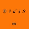 Sun - birds