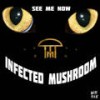 See Me Now - Infected Mushroom