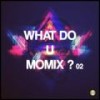 What Do U Momix ? Vol.2 (Continuous Dj Mix) - Matt Lust