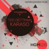 Karaso (Paul Mirror Remix) - Ted Dettman