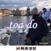 toa do (抖音热播版) - 何友&七大大&十一