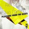 Pleasure from the Beats - Alex Gray