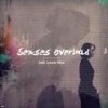 Senses Overload(feat. Laura Hahn) - Ficci&Laura Hahn