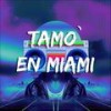 Tamo En Miami (feat. Bryan perez & Jesus Soliz) - VIP SPACE&Bryan Perez&Jesus Soliz