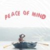 Peace of Mind (Explicit) - P-FLOW