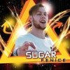 Fenice - Sugar