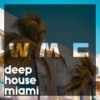 Spleen (Deep Houzer Mix) - Alexis Onassis