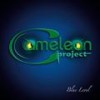 Hey You (Let´s Have a Party) (Radioversion) - Cameleon Project 