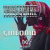 Sinfonia (Afro House Mix) - Tribequake