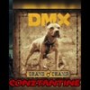 Before Its Too Late(DMX Tribute) (Explicit) - Conztantine