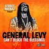 Can't Block the Blessings - General Levy