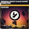 Carlton (Vandalize Remix Edit) - Brendan Ashley&Dave Owens