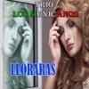 Lloraras - Trio Los Mexicanos