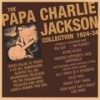 Salty Dog Blues - Charlie Jackson