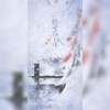 听雪楼群像（翻自 沐络） - 棽仙鹅鹅鹅&沐虮&化十&v哔哔v&丸药&不要杀我！