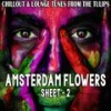 Fallen for Her (Chill Time Mix) - Ian Ortis