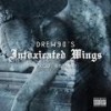 Intoxicated Wings (Explicit) - Drew90s