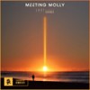 Passion Fruit (Extended Mix) - Meeting Molly