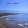 Back Home - Scott Bradley