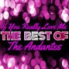 Will You Always Be There - The Andantes