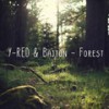 Forest - Y-Red&Bajton