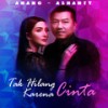 Tak Hilang Karena Cinta - Anang&Ashanty