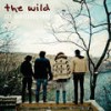 Everything We Need - The WILD