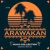 The Calling (Arawakan Drum Mix) - Realm of House&Nina Rodriguez