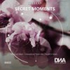 Secret Moments (David Di Sabato Remix) - TEELCO&David Di Sabato