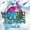 Hermit Crab (Electro House Mix) - Graziano Ruan