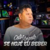 Se Hoje Eu Beber - Celso Angelo