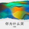 你为什么哭着摇（dj版） - 孙靓颖